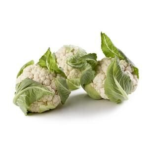 Cauliflower Medium